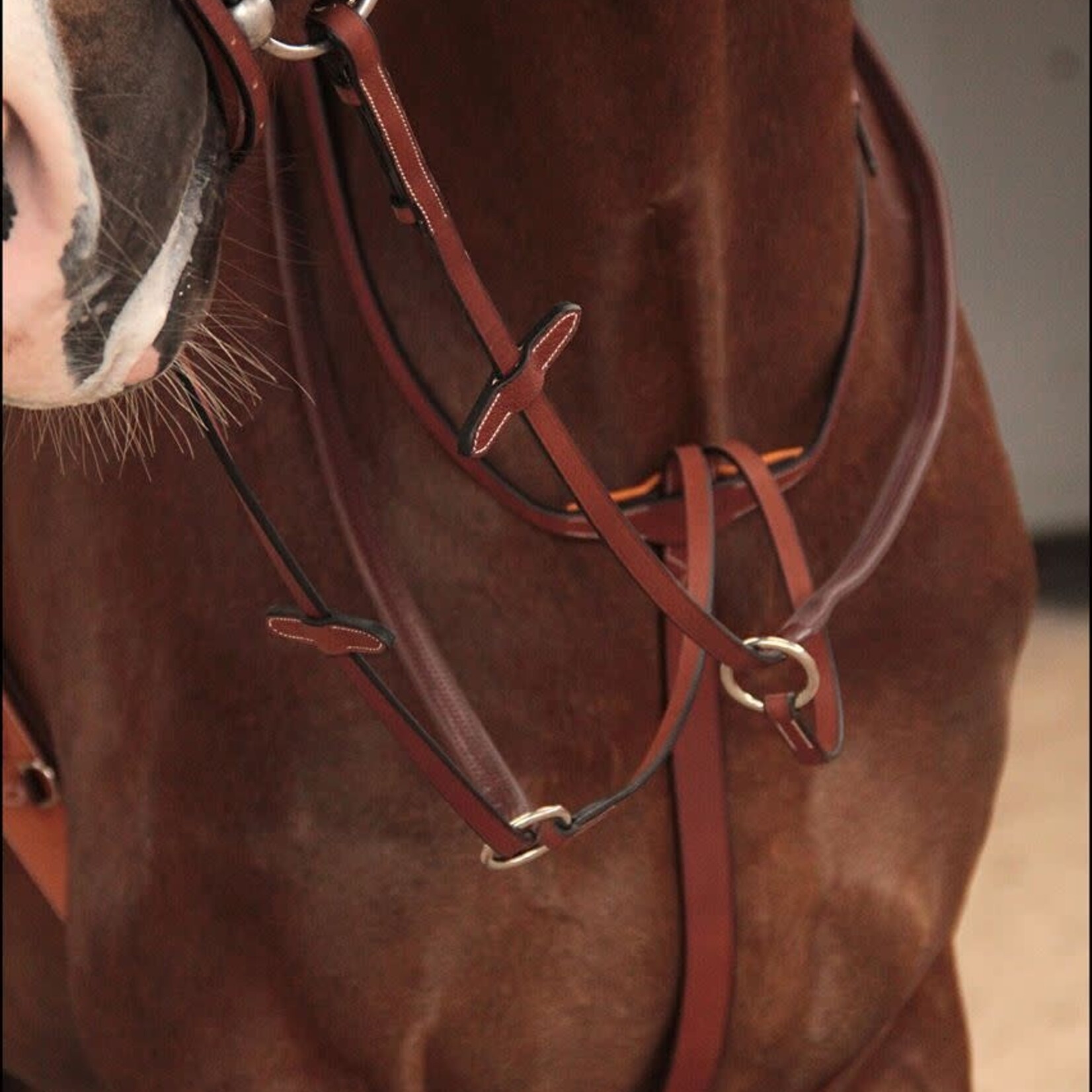 Butet MAS01 SMOOTH Butet Running Martingale