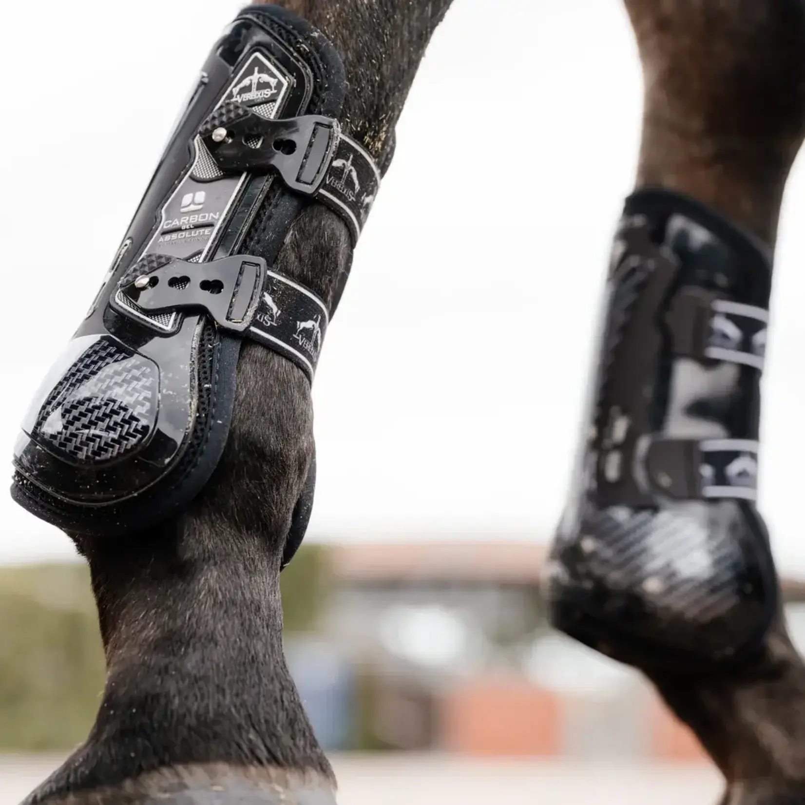Equinavia V19001 Veredus Carbon Gel Absolute Front Tendon Boots
