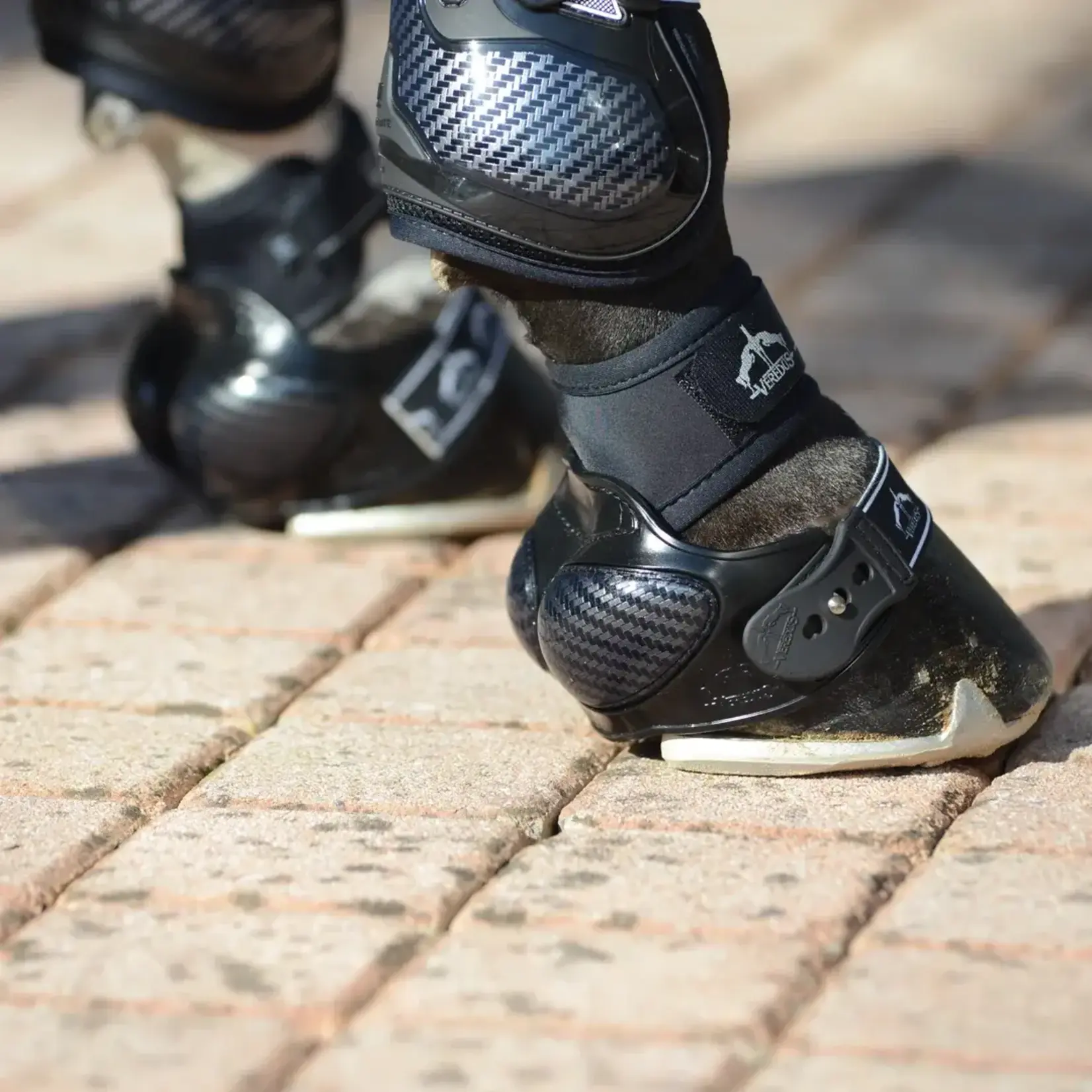 Equinavia V19036 Veredus Carbon Shield Overreach Boots