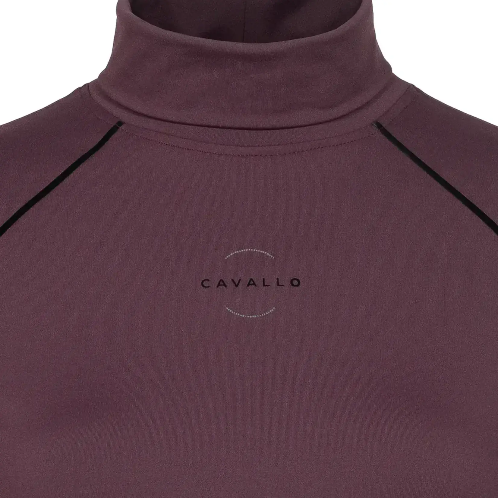 Cavallo Cavallo Cavaldesa Brushed Turtleneck Long Sleeve Shirt