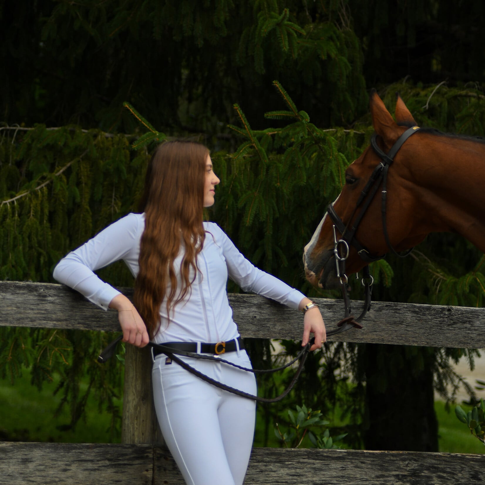 Equivida EquiVida Reversible Belt with signature Horse Shoe Logo