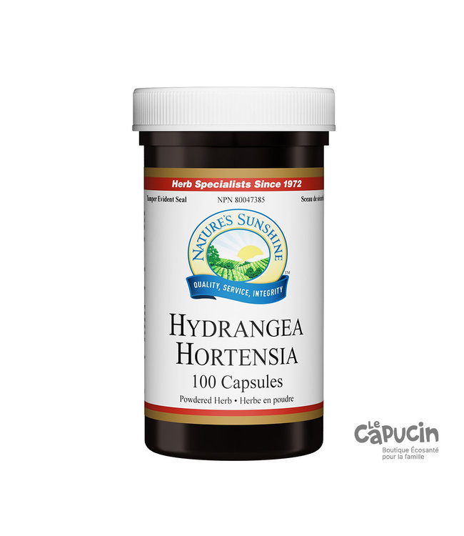 Hydrangea | 100 Caps