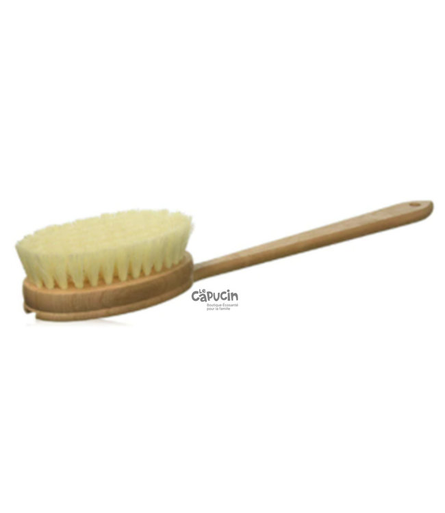 Body Brush - Long Handle