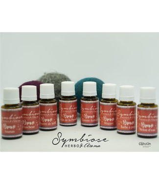 Symbiose Herboristerie Mist - Sweet Spices - 15ml