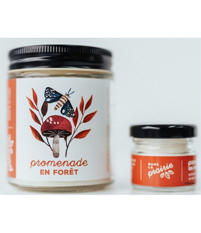 Soy Candle | Forest walk