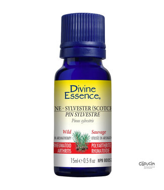 Divine Essence Pin Sylvestre - 15 ml - Divine Essence