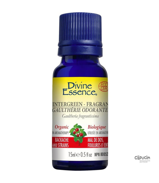 Wintergreen essential oil - Organic- 15 ml