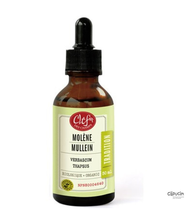 Herbal Tincture - Mullein - 50ml