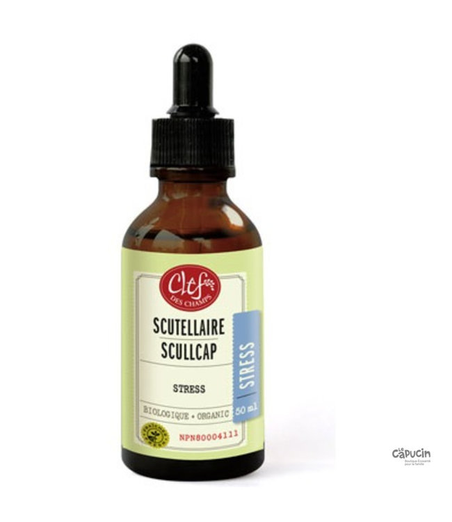 Herbal Tincture - Scullcap - 50ml