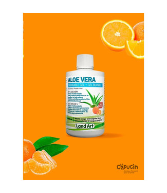 Land Art Aloe Vera - Gel - Drinkable - Orange - Choose a size