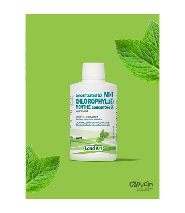 Chlorophylle - 5x - Liquide - Menthe - 500ml