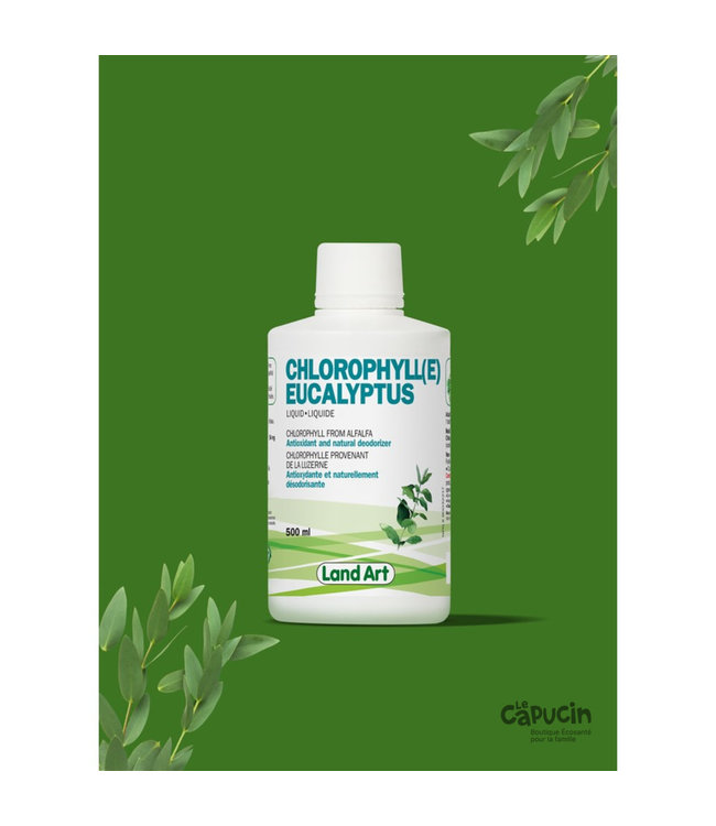Chlorophylle - Liquide - Eucalyptus - 500ml