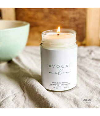 Marée Chandelles Soy Candle | Avocado & Melon