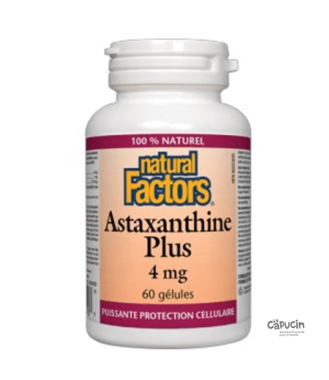 Natural Factors Astaxanthine Plus | 4mg (60 Gelules)