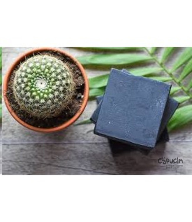 Poussiere d'etoile Detoxifying soap with activated charcoal | No 22