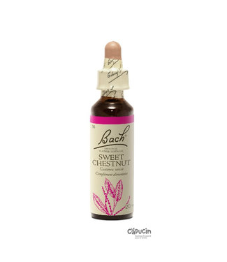 Bach Sweet chestnut | 20 ml