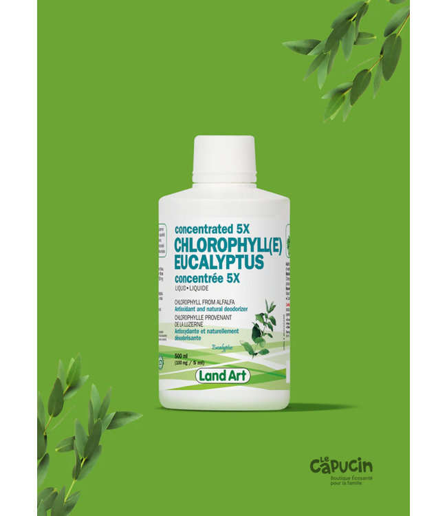 Chlorophyll - 5x - Liquid - Eucalyptus - 500ml