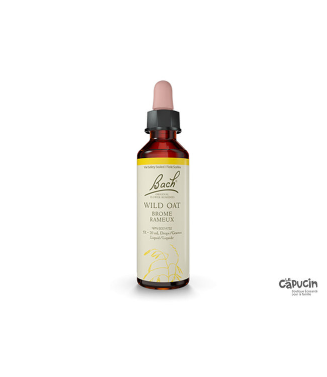 Wild oat 20 ml