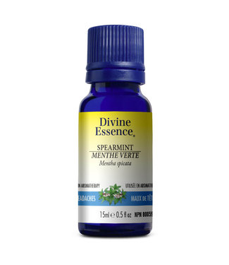 Divine Essence Menthe Verte - 15 ml