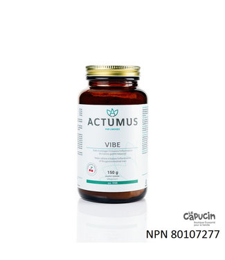 Actumus Vibe - 150 g par Actumus