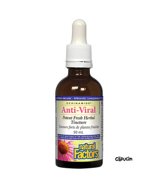 Natural Factors Echinamide Anti-Viral - 50 ml