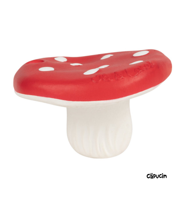 Spotty the Mushroom by Oli & Carol