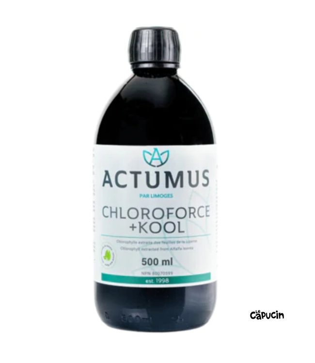 Chloroforce Kool - 500ml - Actumus