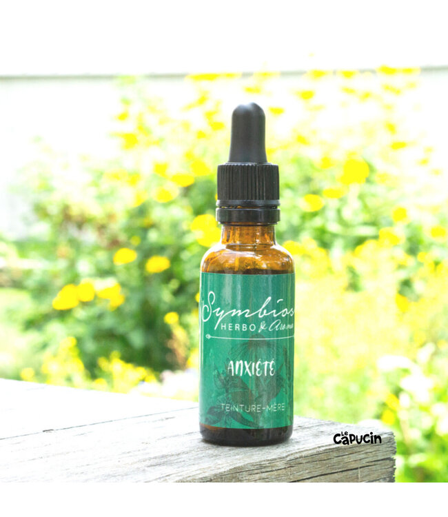 Anxiety mother tincture - by Symbiose Herbalism