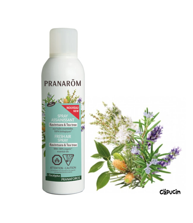 Spray Assainissant Ravintsara & Tea Tree + Eucalyptus - 150 ml par Pranarom