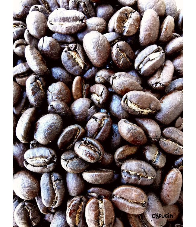 Coffea arabica | 32ml