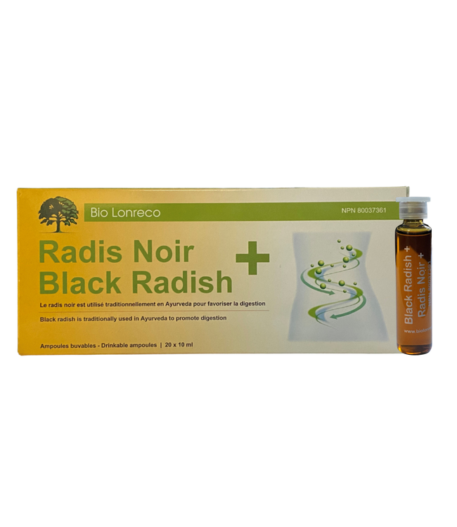 Black Radish - 20 ampoules - Bio Lonreco