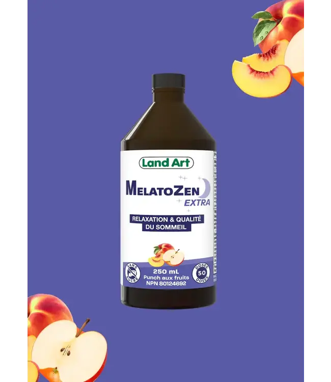 MelatoZen Extra - 250 ml - Fruit Punch - Land Art