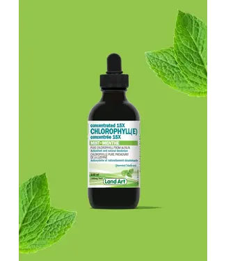 Land Art Chlorophyll - concentrated - Mint- 100ml by Land Art