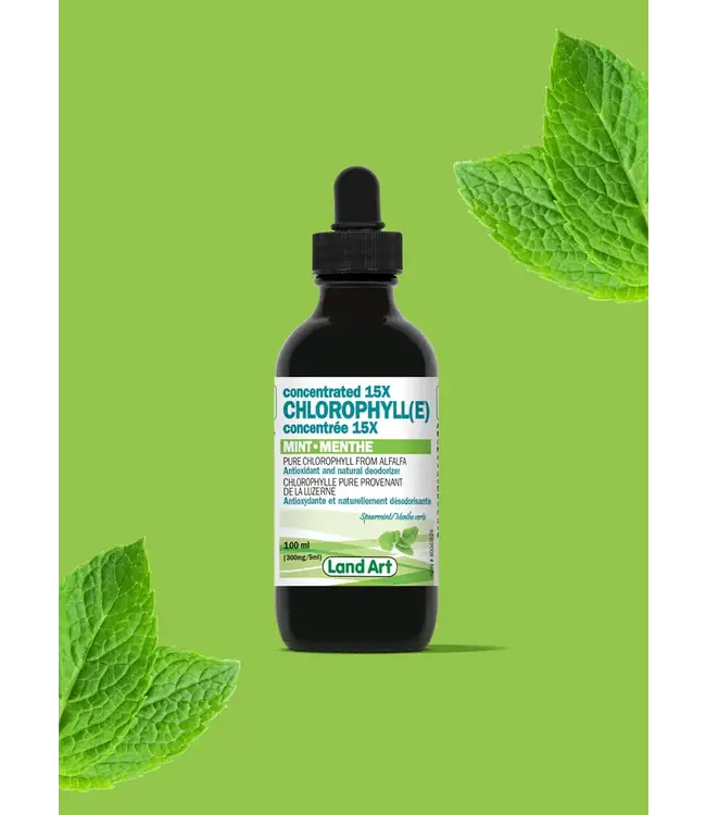 Chlorophyll - concentrated - Mint- 100ml by Land Art