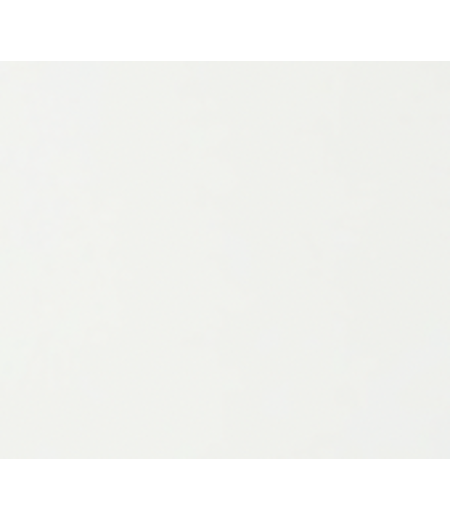 Ladies' Classic Low Rise Leggings