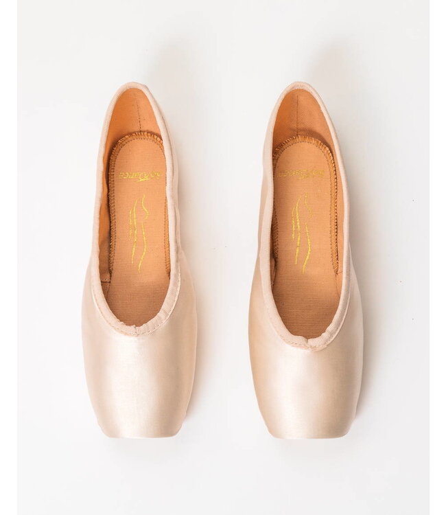 Alegria Pointe Shoes