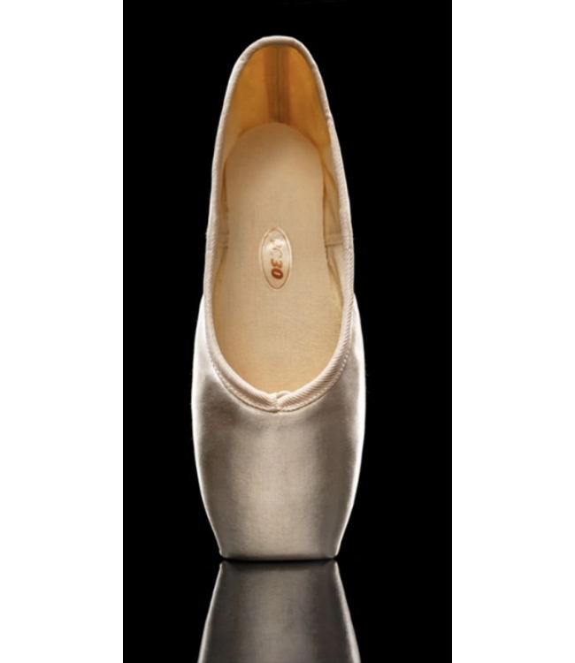 Fantasia Pointe Shoes (Satin Tip)