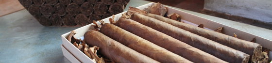 All Cigars