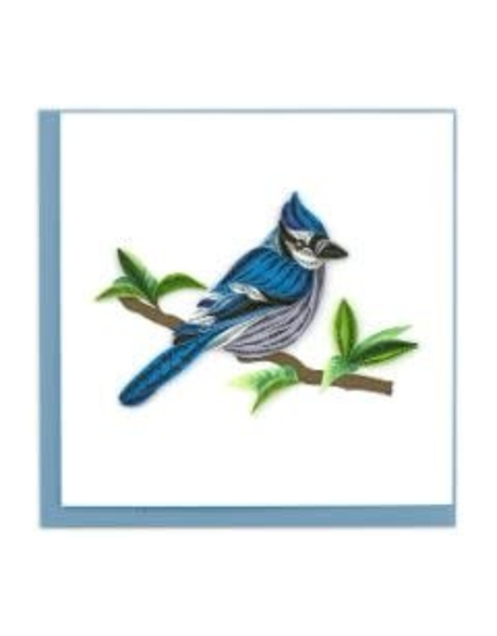Quilling Card Lg- Blue Jay