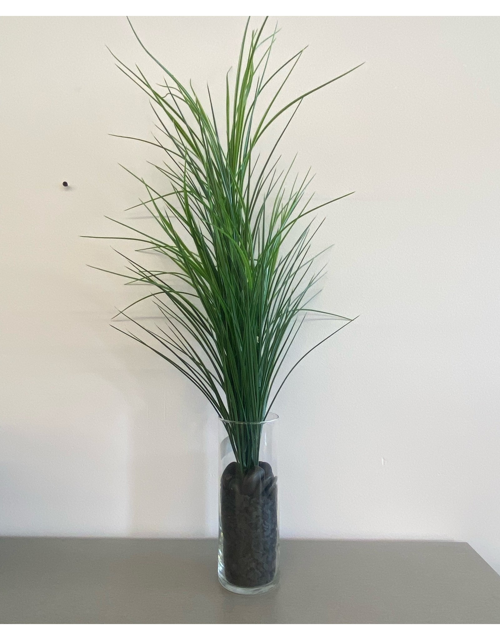 Medium Green Grass Plant