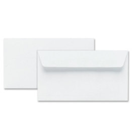 ENV #8 SECURITY PRESS-SEAL*55