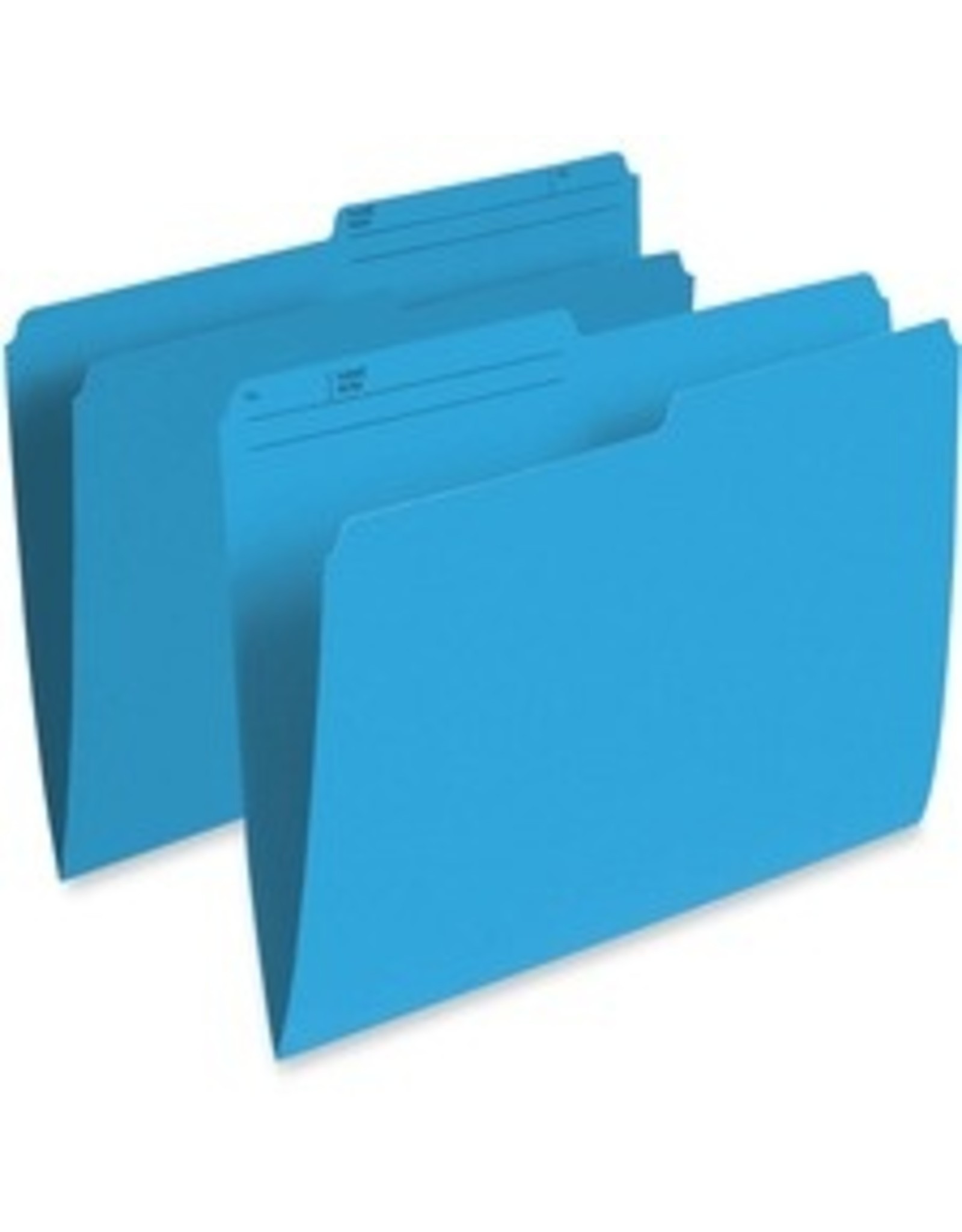FILE 10.5PT LTR REVRS*BLUE *1C