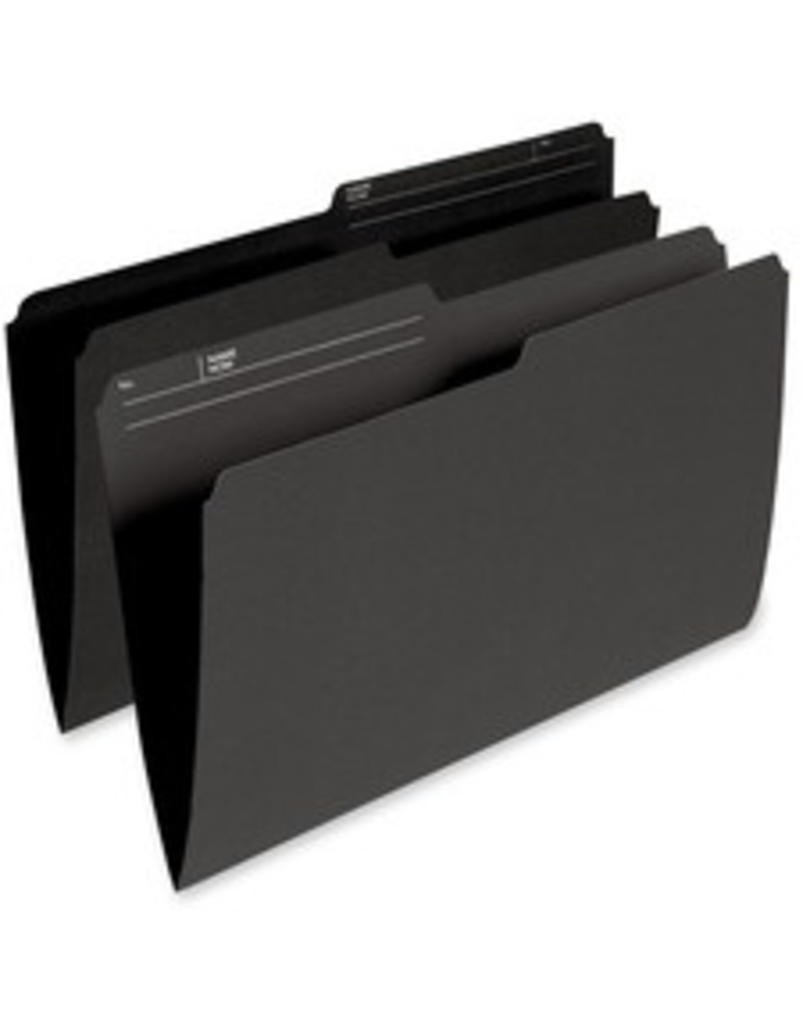 FILE 10.5PT LGL REVRS*BLACK*1C