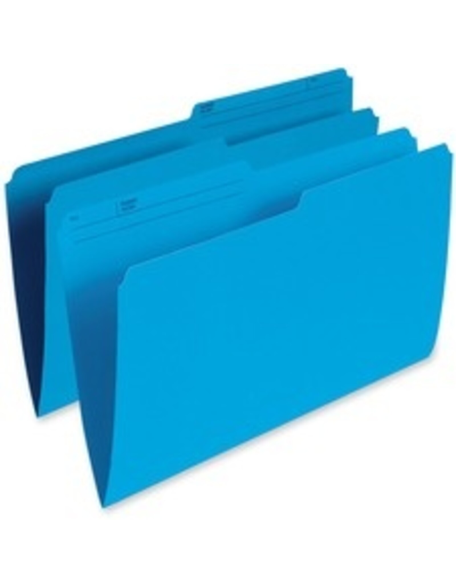 FILE 10.5PT LGL REVRS*BLUE *1C