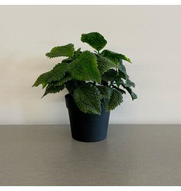 Artificial Mint Small Plant with Black Pot