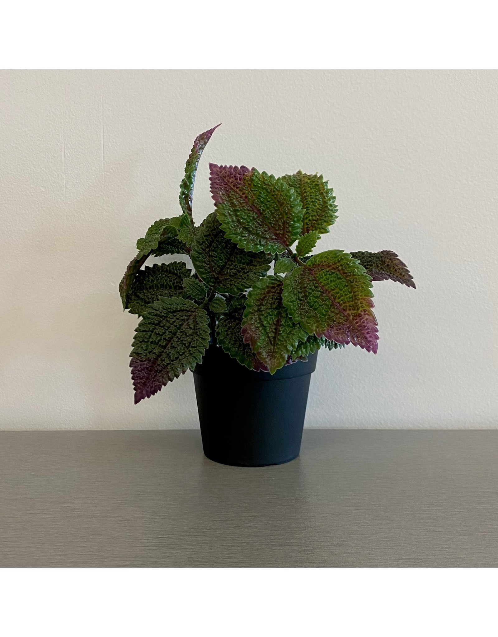 Artificial Purple Tip Mint Plant