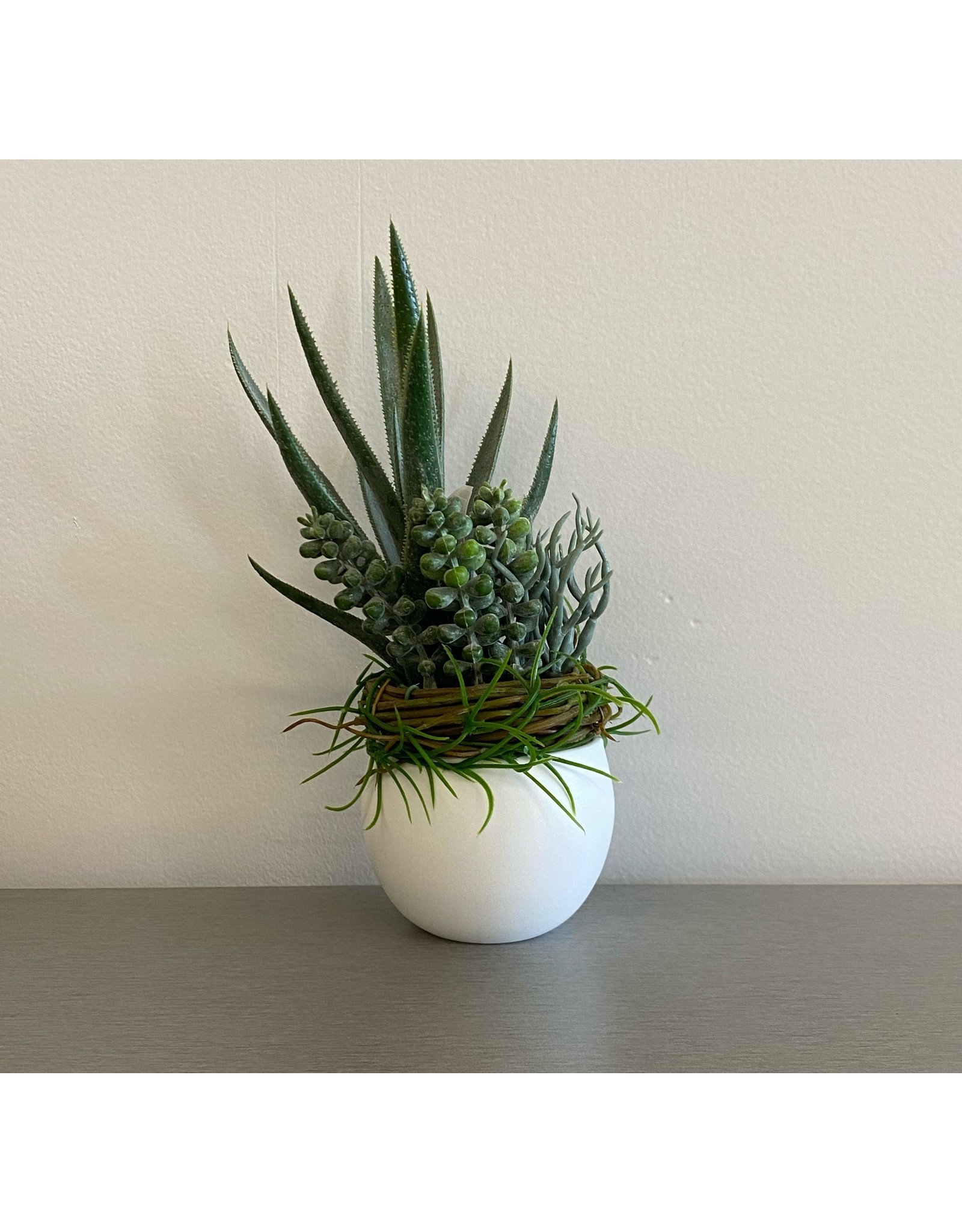 Small Aloe Succulent White Sphere Pot