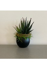 Small Artificial Grass Succulent Black Sphere Pot
