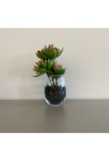 Small Artificial Green with Pink Tips Plant in Glass Vase