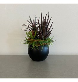 Small Black Sphere Succulent Terrarium